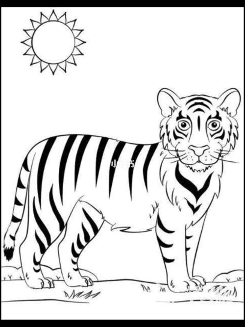老虎的尾巴简笔画可爱图片