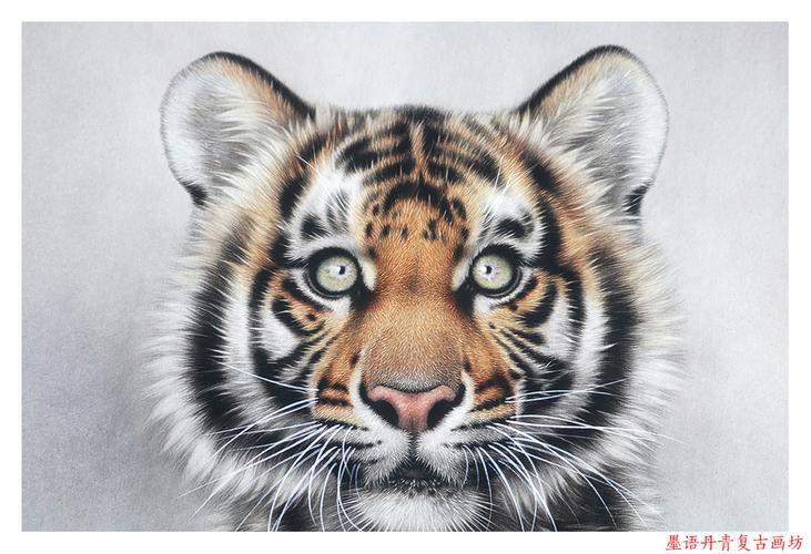 老虎如何画 如何画一只老虎简笔画