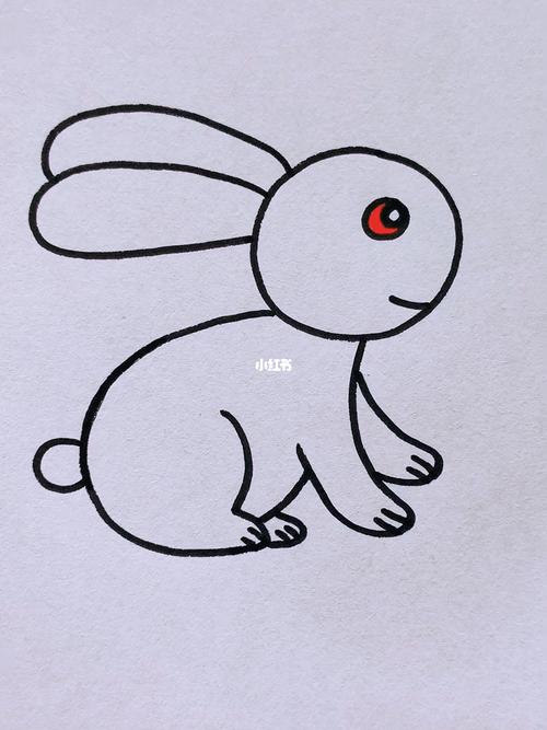 兔子的脚简笔画图片