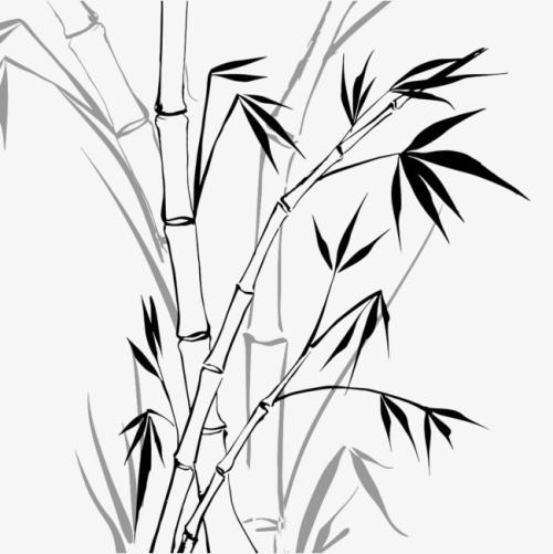竹子怎么画 竹子怎么画水墨