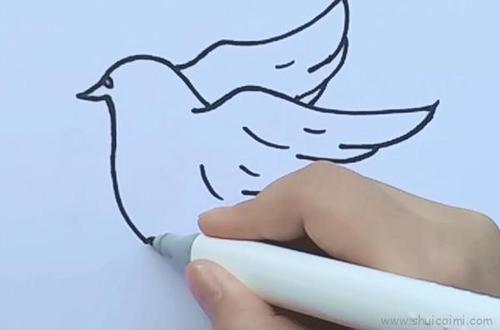 儿童鸽子简笔画 儿童鸽子简笔画简单