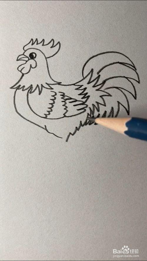 怎么画大公鸡