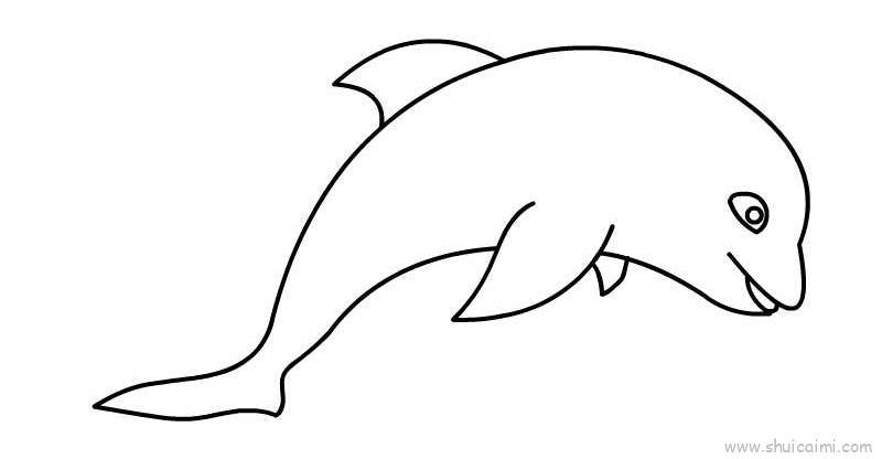 简笔画海豚 