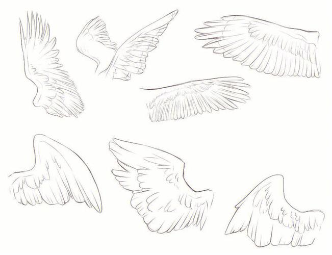 翅膀怎么画 翅膀怎么画简单又漂亮