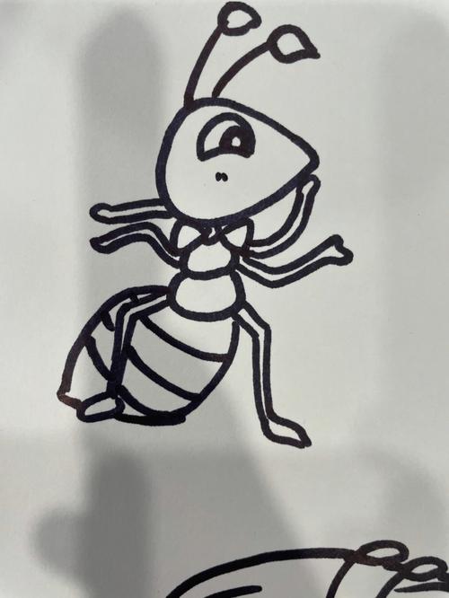 小蚂蚁简笔画可爱