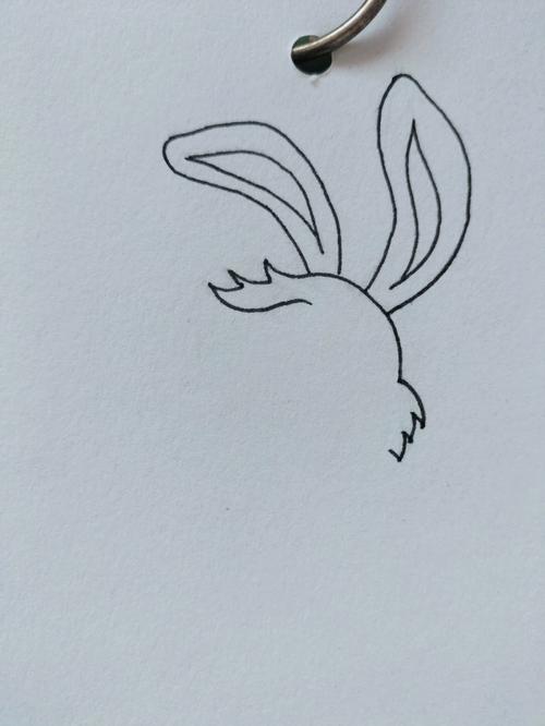 兔子画法简笔画 兔子画法简笔画颜色