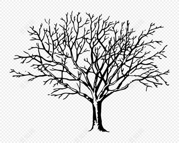 冬天的树的简笔画冬天的树的简笔画图片大全