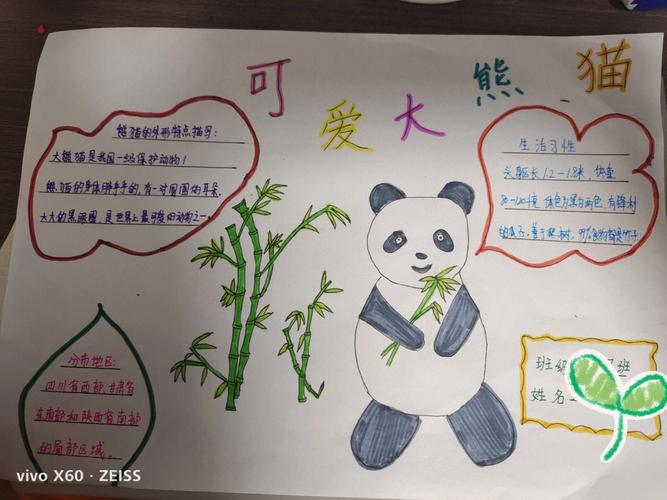 熊猫手抄报简单又漂亮三年级