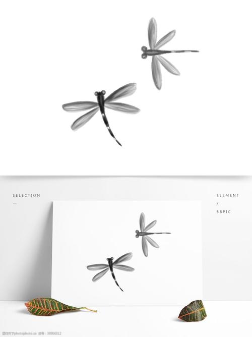 蜻蜓国画图片 蜻蜓简笔画图片彩色