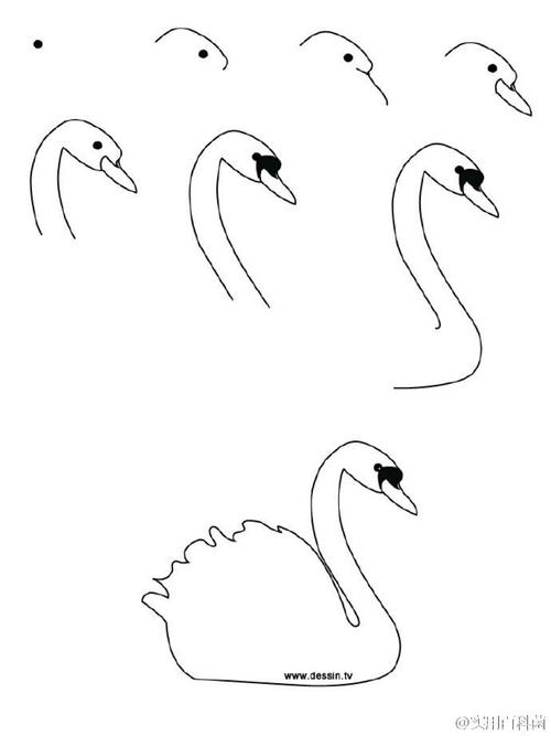 天鹅的画法简笔画 天鹅的画法简笔画
