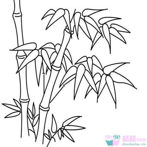 竹子的画法简笔画 竹子的画法简笔画铅笔画手绘彩色