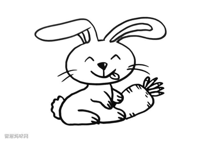 小兔简笔画图片
