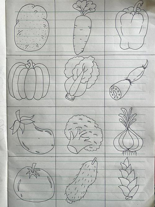 十种蔬菜简笔画 十种蔬菜简笔画颜色