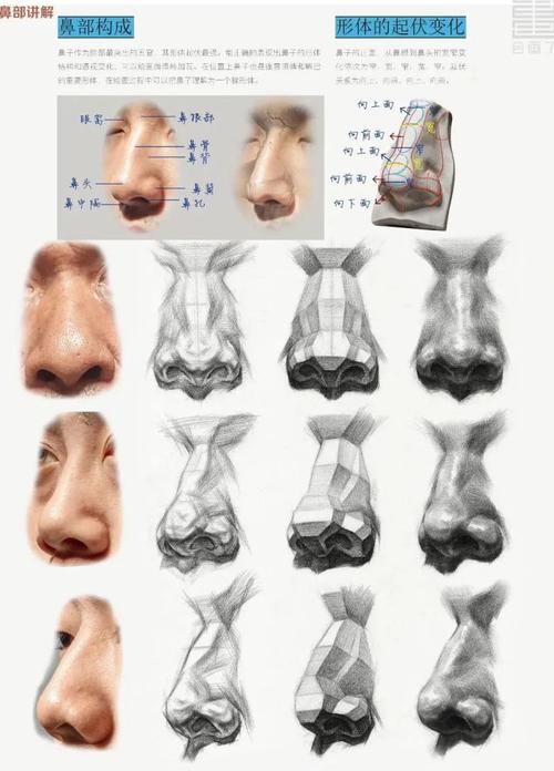 素描鼻子的画法步骤图 素描人物鼻子画法步骤