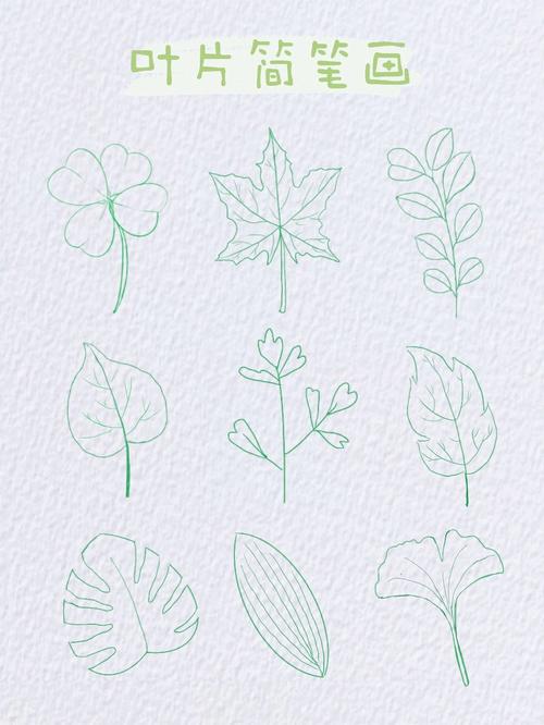 树叶简笔画简单又好看 树叶简笔画简单又好看带颜色