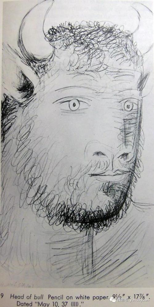 毕加索素描作品 毕加索素描作品图片