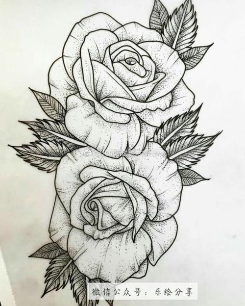 素描玫瑰花的画 素描玫瑰花的画法步骤图片