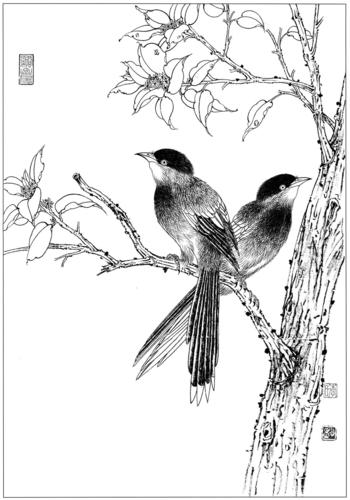 燕子和喜鹊的简笔画图片
