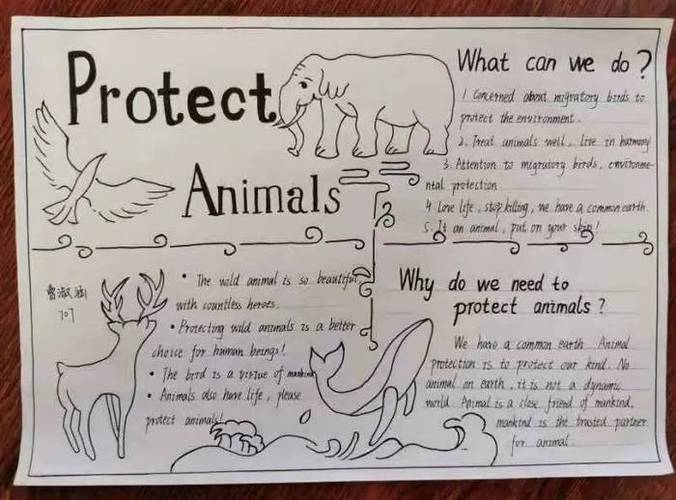 保护动物手抄报英语 保护动物手抄报英语内容