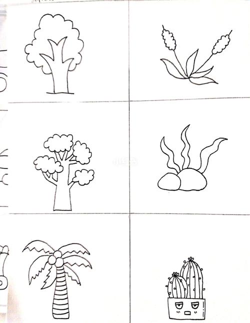 植物简笔画图片 植物简笔画图片大全花草