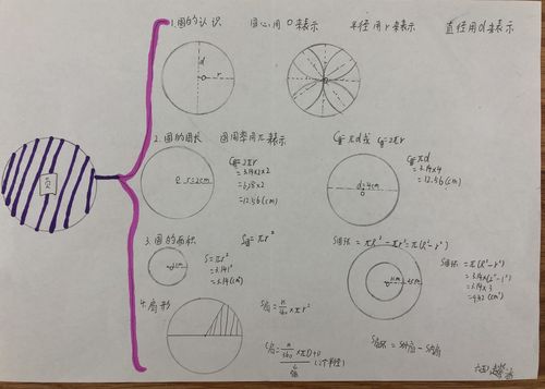 圆的面积思维导图 圆的面积思维导图怎么画