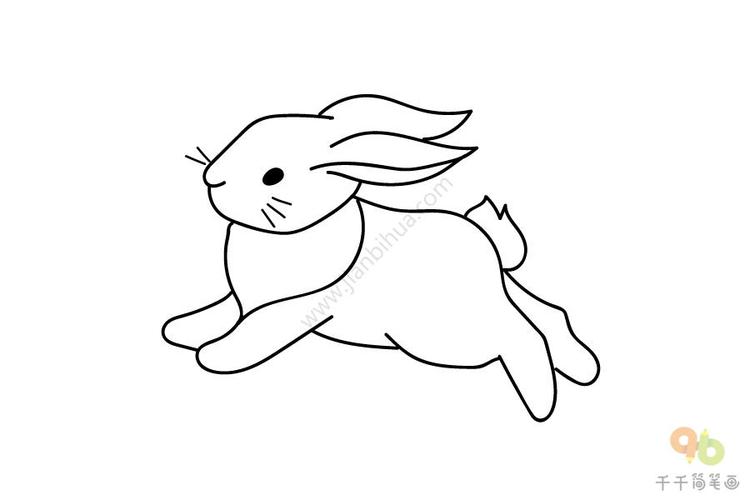 野兔简笔画