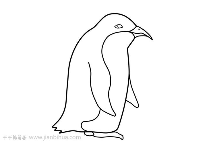企鹅的简笔画 企鹅的简笔画法