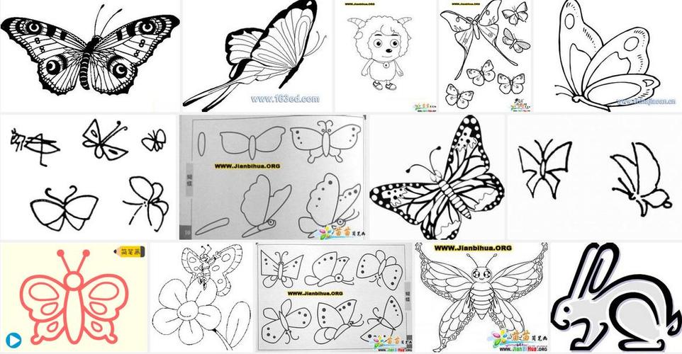 蝴蝶是怎么画的 画蝴蝶教程