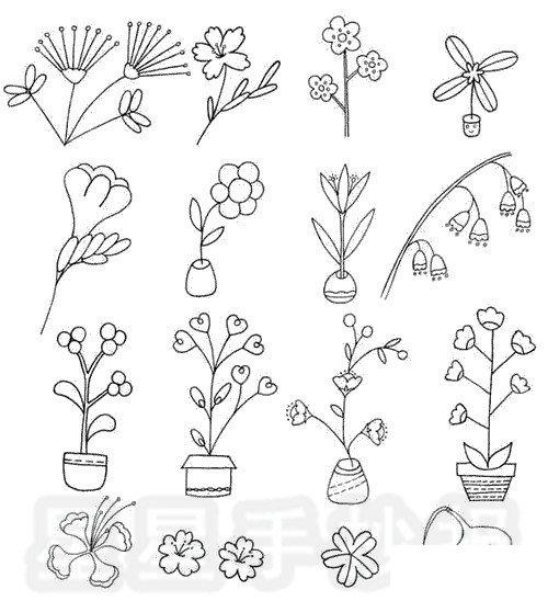 适合秋天种的植物简笔画
