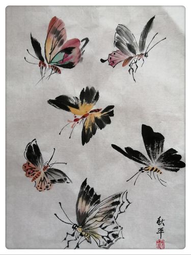 国画蝴蝶的画法和步骤 国画蝴蝶的画法和步骤图片