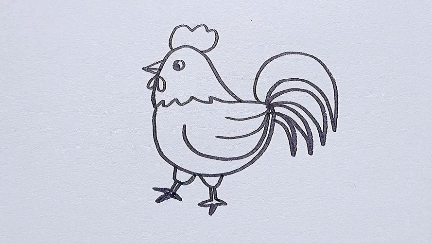 鸡怎么画简笔画 坤坤小鸡怎么画简笔画