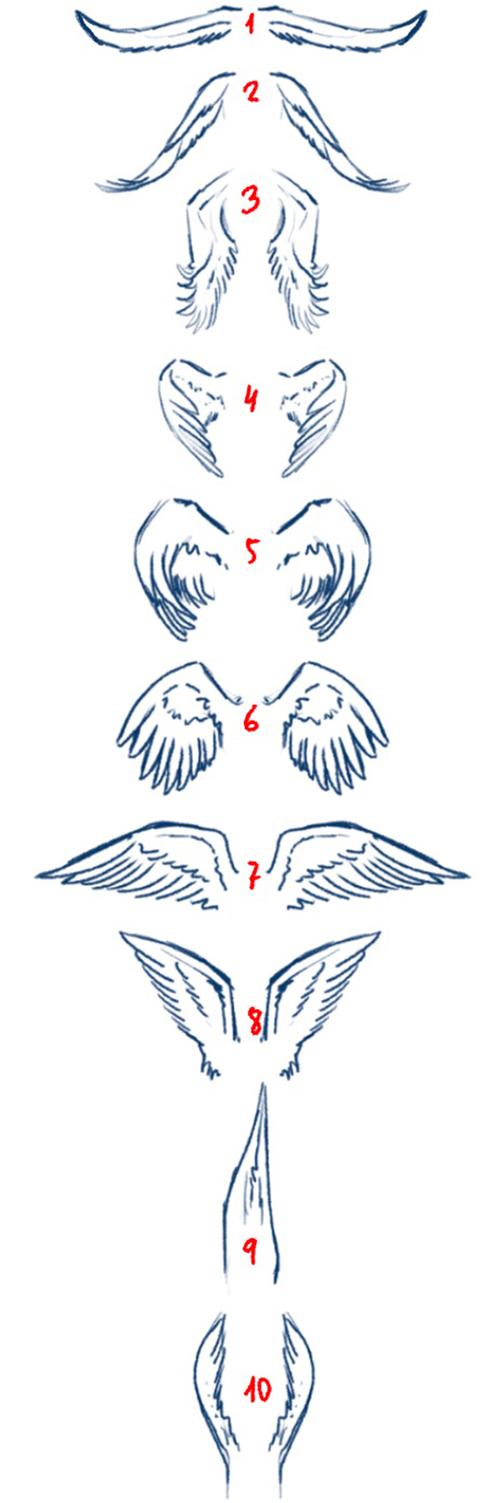 翅膀怎么画简单又漂亮 翅膀怎么画简单又漂亮图片