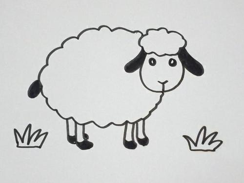 简笔画羊的画法