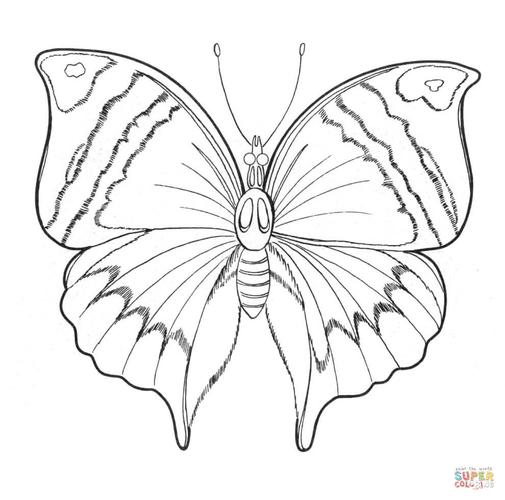 如何画蝴蝶 如何画蝴蝶结好看又简单
