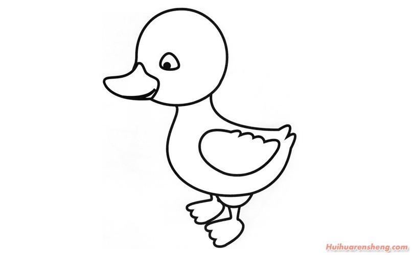 鸭子简笔画可爱