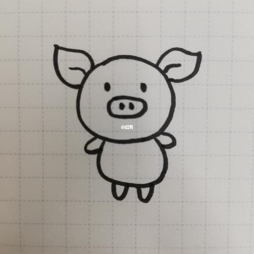 卡通小猪简笔画 卡通小猪简笔画彩色