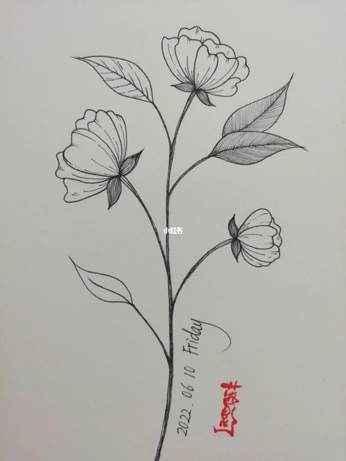 花卉的简笔画