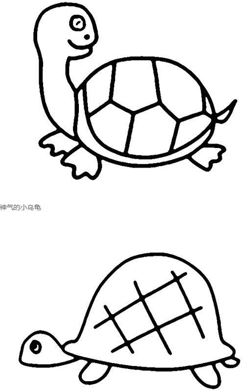 简笔画乌龟的画法