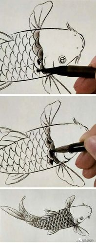 鱼的画法 鱼的画法简笔画图片 鱼的画法简单又漂亮