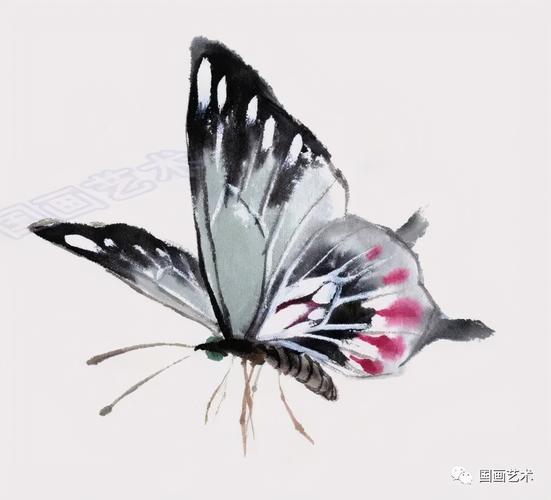 国画蝴蝶的画法和步骤 国画蝴蝶的画法和步骤图片