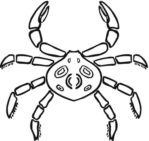 螃蟹的简笔画法 螃蟹的简笔画法儿童画