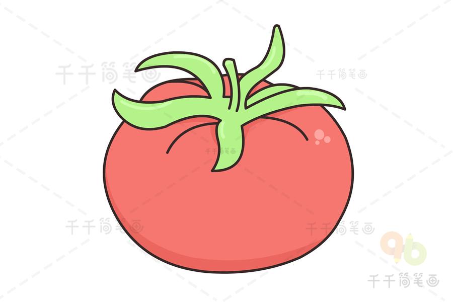 西红柿怎么画简笔画 西红柿怎么画简笔画图片
