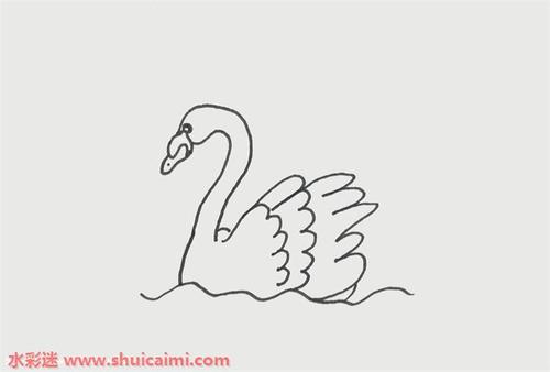 天鹅的简笔画 天鹅的简笔画可爱简单