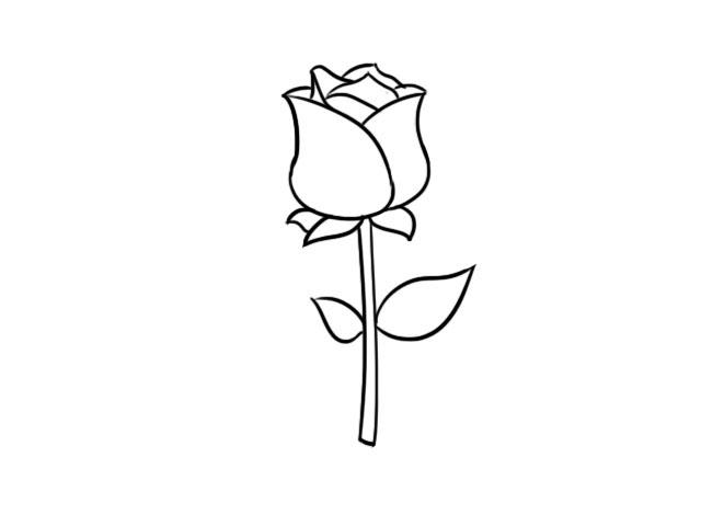 玫瑰的简笔画怎么画最好看又简单