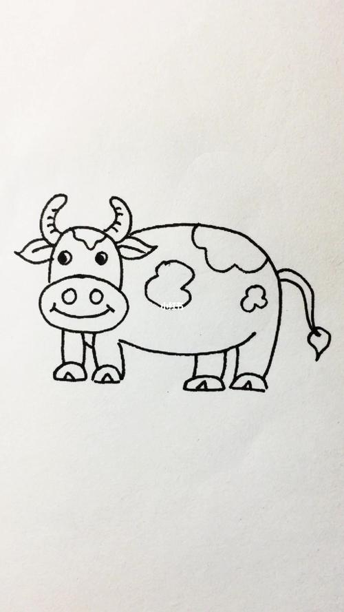 小牛怎么画 小牛怎么画简单又漂亮