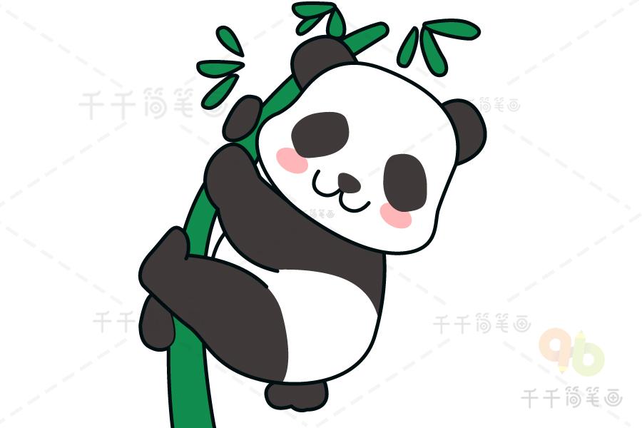 画熊猫简笔画 