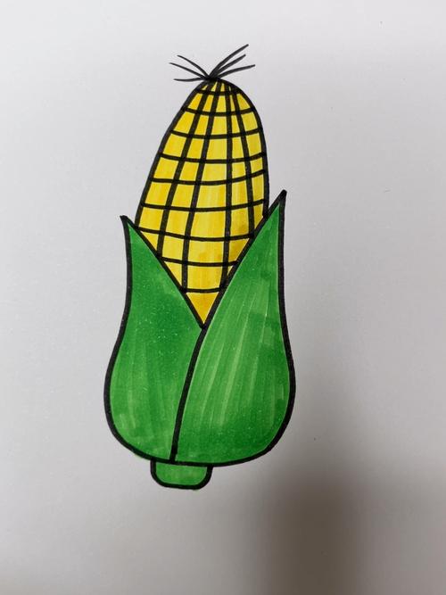 玉米的简笔画简单又漂亮 儿童简笔画玉米