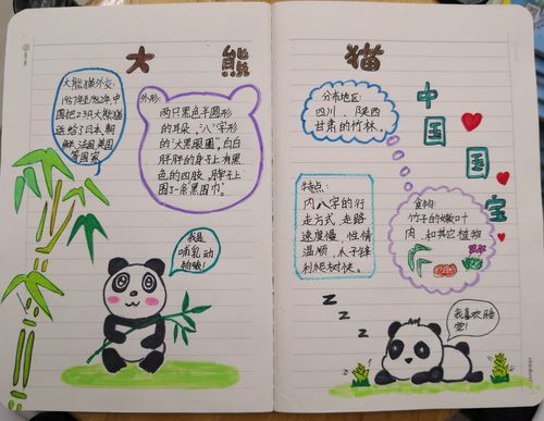 熊猫手抄报怎么画