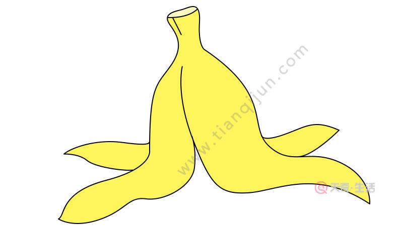 香蕉皮简笔画 香蕉皮简笔画彩色