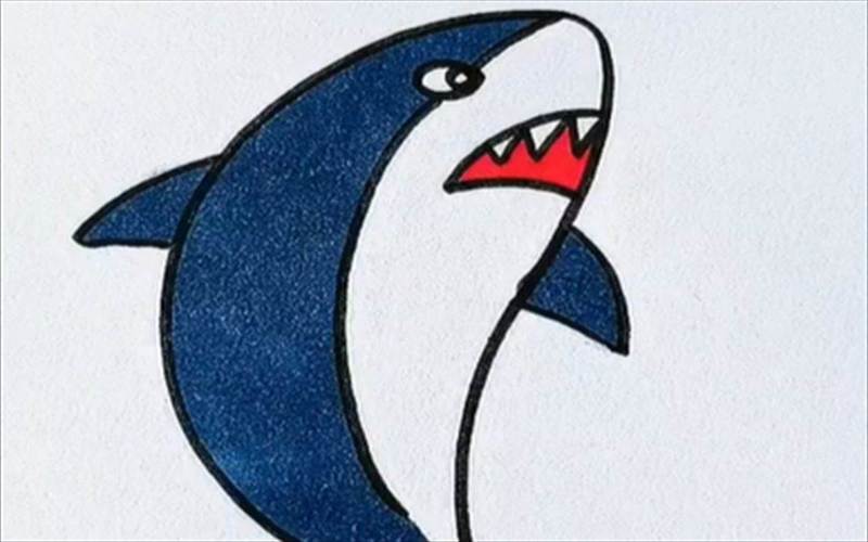 儿童简笔画大鲨鱼 儿童简笔画大鲨鱼加颜色怎么画